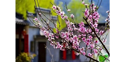 陽春三月，臺群精機(jī)一大波展會即將來襲，您準(zhǔn)備好了嗎？