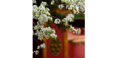 【展會資訊】臺群精機5月展會一覽，等您來參觀！